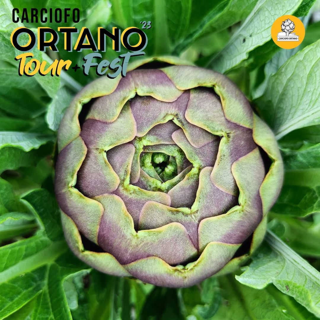 Visiby Carciofo Ortano Fest Tour 2023 Orte raccolta carciofi