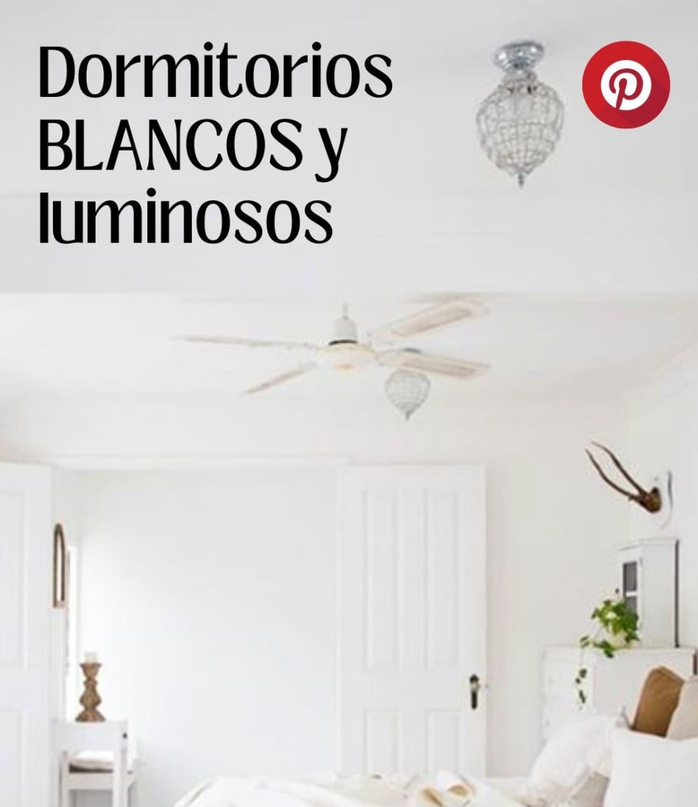 Visiby carpinteria miaje creacion de contenidos para blog copywriting instagram reel 2