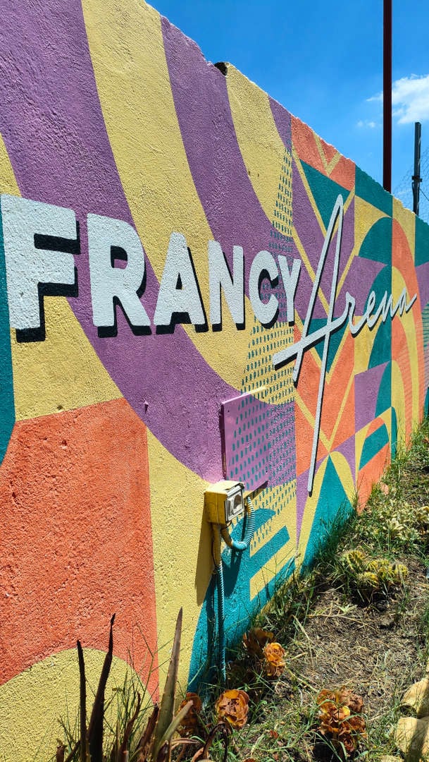 visiby diseño de espacio comercial terraza Francy Arena de Orte logo pintado sobre mural