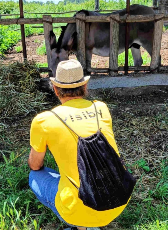 Visiby Studio Marketing humano etico Biobagnolese creazione di contenuti social sessione fotografica asino