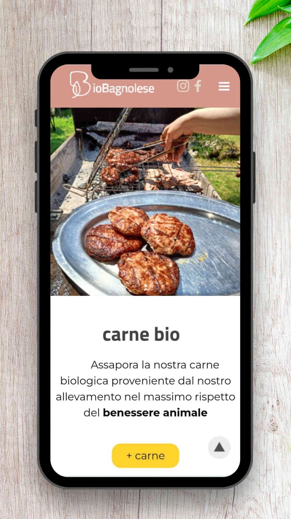 Visiby Studio Marketing humano etico Biobagnolese web design responsive